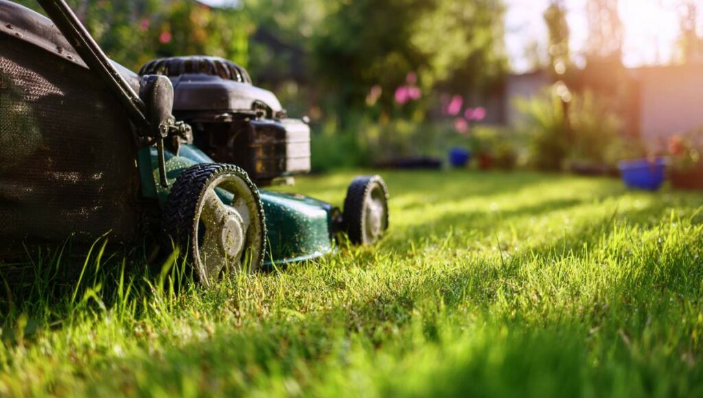 Tondeuse en fonctionnement sur pelouse verte après résolution des problèmes de démarrage printanier