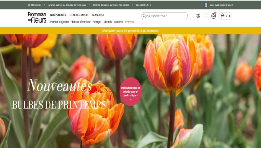 site-promesse-de-fleurs-interface-commande